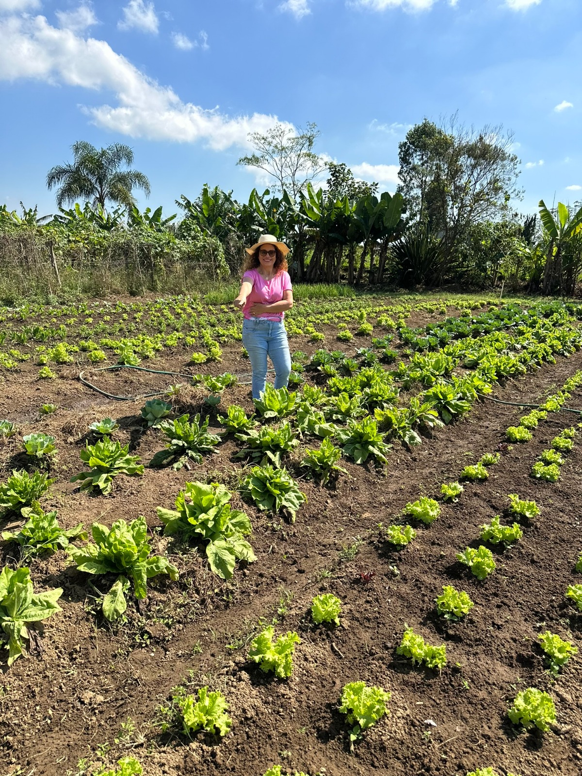 &Aacute;rea de horta e cultivo do S&iacute;tio Mayumi